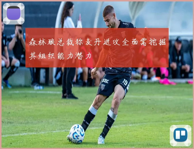森林狼总裁称麦丹进攻全面需挖掘其组织能力潜力